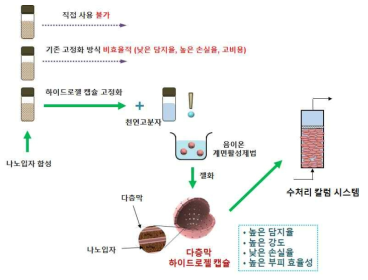 연구과제 (나노입자의 고축적 담지를 위한 다층막 하이드로젤 캡슐 개발) 개념도