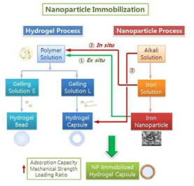 하이드로젤 캡슐을 이용한 나노입자 고정화 방법