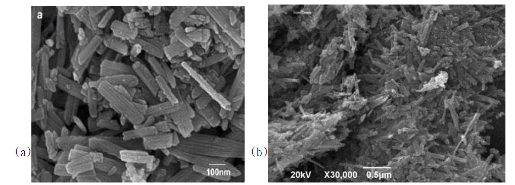 Goethite 나노입자의 세척전(a) 세척후(b)의 SEM 분석