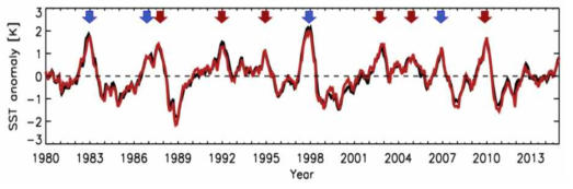 1980년부터 2014년까지 Niño3.4 지역(5N-5S, 120N-170W)의 해수면 온도 아노말리. ERSST(검은색선)과 MERRA 표면 온도(붉은색선)을 함께 표기함. SST의 장기 추세는 제거하였으며 E-type(푸른 화살표)과 C-type(붉은 화살표)에 대해서 기간을 표기함