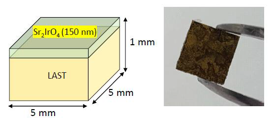 6 mm의 두께의 LAST위에 150 nm 두께로 성장시킨 Sr2IrO4 박막 샘플 모식도 및 사진