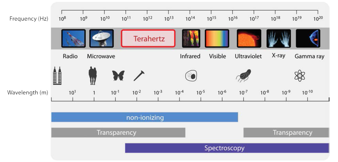 테라헤르츠 전자기파의 스펙트럼의 특징