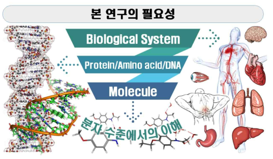 본 연구의 필요성