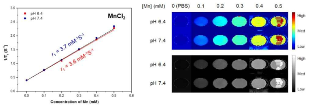 pH 변화 및 MnCl2의 농도변화에 따른 r1 변화 및 T1-weighted 이미지 모니터링