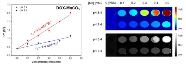 pH 변화 및 DOX-MnCO3 나노입자의 농도변화에 따른 r1 변화 및 T1-weighted 이미지 모니터링