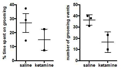 Ketamine을 처리하였을 때, Slitrk5 KO 생쥐의 털다듬기 시간 및 횟수가 줄어드는 것을 확인함