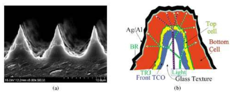 (a) 팁 직경이 50–100 nm 인 ICP RIE로 얻은 유리 질감의 SEM 이미지. (b) 피라미드 형 유리 질감으로 제작 된 탠덤 태양 전지의 단면의 개략도. BR : 후면 반사판. TCO : 투명 전도성 산화물 (AZO). TRJ : 터널 재조합 접합