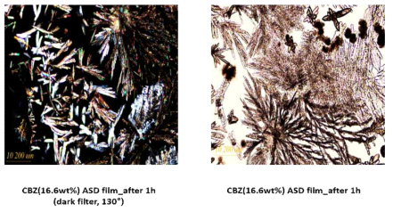PLM image of CBZ ASD films after 1h in thermo hygrostat chamber