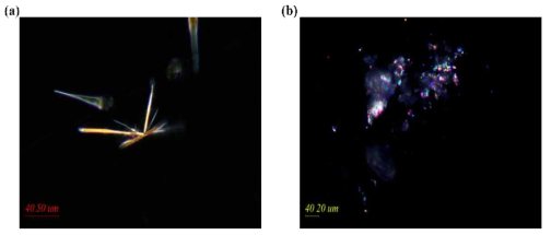 PLM images of two carbamazepine polymorph powders; the form II (a) at ´40(Dark filter 130°) and the form III (b) at ´40