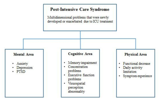 Conceptual Framework of PICS