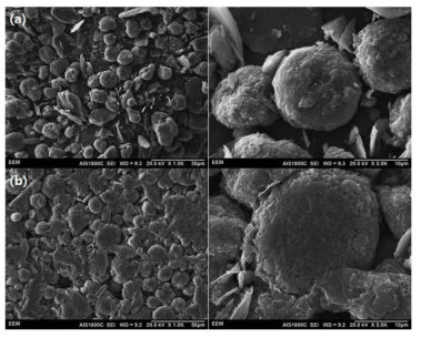 SEM images of (a) MCMB graphite active materials and (b) electrode surface of MCMB graphite active materials with binder and carbon conductive materials