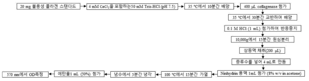 Collagenase 활성 측정의 flow chart