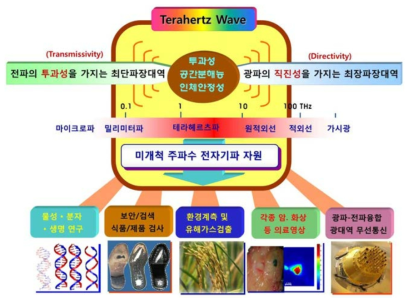 테라헤르츠파(terahertz wave) 기술 및 응용 분야