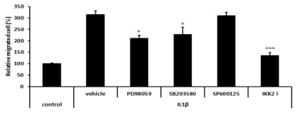 Effect of JNK, NF-κB, ERK, and p38 inhibition on IL1β-induced migration