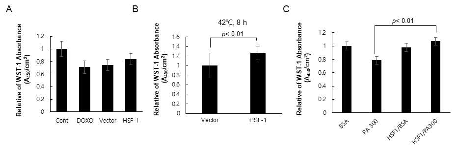 Over-expression effect of HSF-1 for cell viability under the cellular stress condition