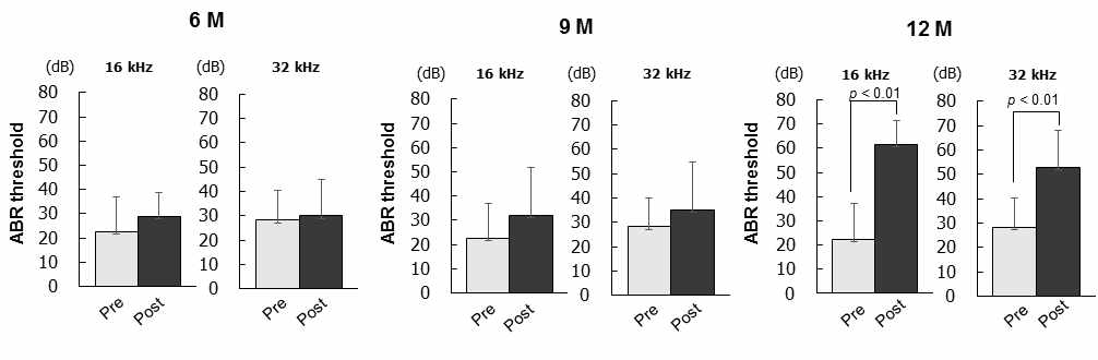 ABR threshold shift at 16 and 32 kHz in the 6, 9 and 12 months aged mice. Results are means ± SEM of 6 months (n = 12), 9 months (n = 12), for 12 months (n = 12), respectively. P < 0.01, by one-way ANOVA followed by Tukey’s HSD post hoc test