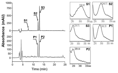 HPLC analysis of genistein biosynthesized from p-coumaric acid using co-culture of E-C4 and E-IFS. Biotransformation was performed at 25℃ using E-C4 and E-IFS at a ratio of 1:1. S1: standard p-coumaric acid, S2: standard naringenin, S3: standard genistein. P1: reaction product 1, P2: reaction product 2