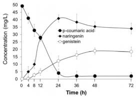 Production of genistein using E-C4 and E-IFS cells at a ratio of 1:3 and 300 μM p-coumaric acid. The reaction products were collected periodically and the production of genistein was monitored over 72h. Data represent the mean ± SD of three biological replicates (n = 3)