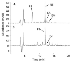 HPLC analysis of total synthesis genistein from glucose. A: analysis of standard p-coumaric acid, narigenin, and genistein incubated with E. coli BL21(DE3) containing empty pACYCDuet, pCDFDuet, and pGEX 5X-2 vector, B: analysis of reaction product from E. coli strain containing SeTAL, Os4CL, PeCHS, and RcIFS-OsCPR. PS; standard p-coumaric acid, NS; standard naringenin, GS; standard genistein, ME; E. coli metabolite