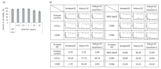 Sesamolin에 의한 DCs의 maturation 변화 관찰