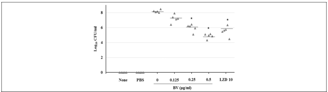Lung bacterial clearance with various BV concentrations in the MRSA-induced pneumonia model. Values are expressed as the means ± SEM. *P < 0.05, **P < 0.005 vs. a BV-free pneumonia group