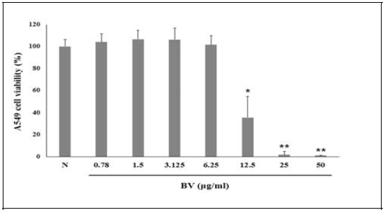 Effects of BV on the viability of A549 cells. Cell viability was evaluated using the MTS assay. Data are expressed as the means ± SEM of duplicate determinations in three separate experiments