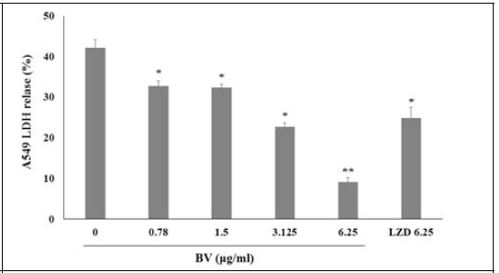 BV attenuates α-toxin-mediated injury of human alveolar epithelial cells. The LDH release was determined using A549 cells co-cultured with USA300 and supplemented with the indicated concentrations of BV. Values are expressed as the means ± SEM (n = 3). *P < 0.05, **P < 0.005 vs. a BV-free co-culture