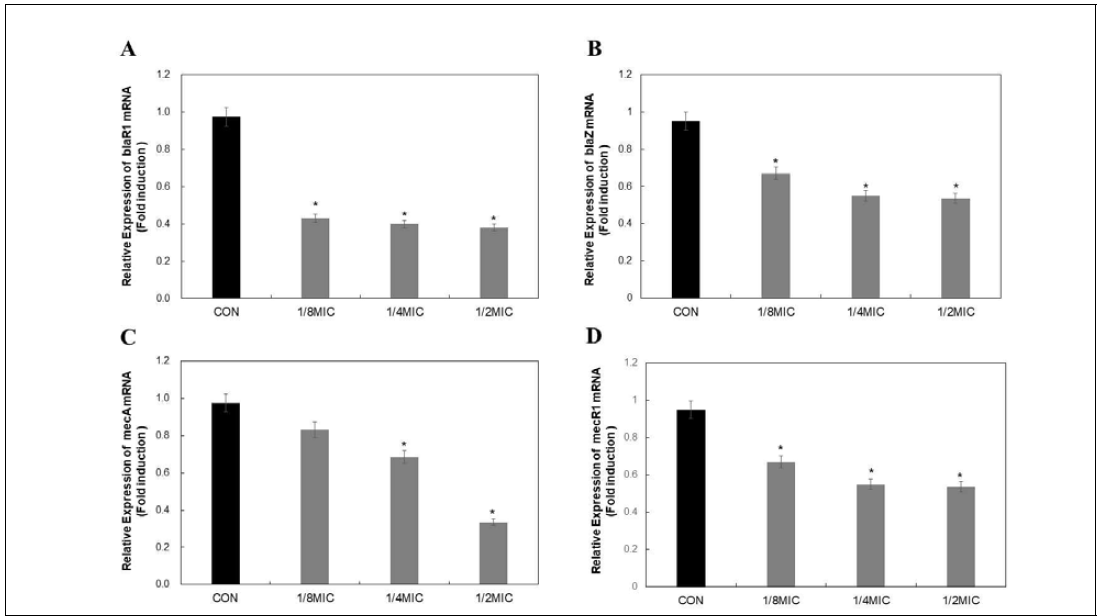 The relative gene expression of blaR1, blaZ, mecA and mecR1 in S. aureus after growth at various concentrations of BDMC. The relative gene expression of blaR1 (A), blaZ (B), mecA (C) and mecR1 (D) was reduced in a dose-dependent manner
