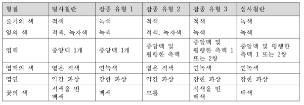 사철란 동소적 집단에서 부모종 및 잡종 추정 개체의 표징 형질 비교