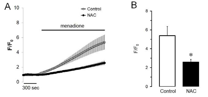 Effects of menadione and NAC on ROS generation in pancreatic acinar cells. Menadione significantly stimulated ROS generation and NAC effectively prevent menadione-induced ROS generation