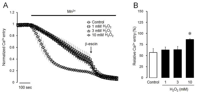 Effects of H2O2 on Ca2+entry using Mn2+ quenching test in intact parotid acinar cells. (A) Effects of various concentrations (1-10 mM) of H2O2 for 10 minutes on normalized Ca2+entry. (B) Effects of H2O2 on relative Ca2+ entry at the end of experiments