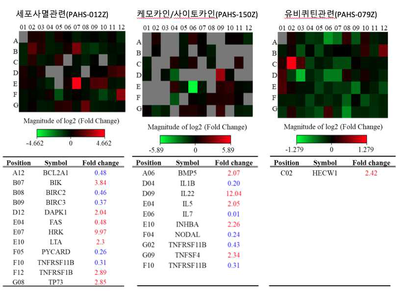 U251-MG siRNA control vs MuD PCR array analysis heatmap과 fold change 표