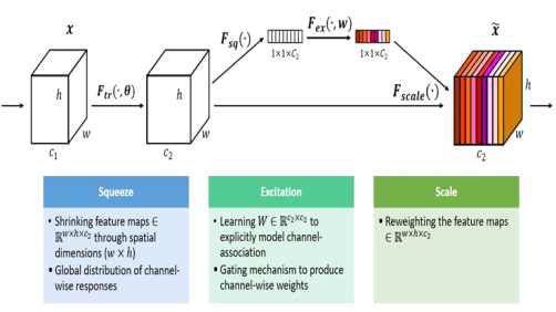 Squeeze Excitation Network