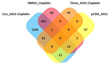 Microarray를 통해 분석된 4개의 그룹에서 관찰되는 유전자의 Venn Diagram