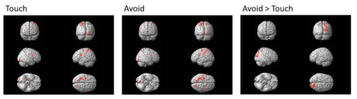 Touch, Avoid 조건에서의 신경활동 및 Avoid와 Touch 조건의 대조 결과 (rendered image)