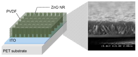 PVDF film+ZnO nanorod flexible 압전 소자 모식도 및 SEM image