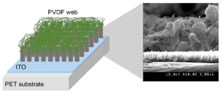 PVDF web + ZnO nanorod flexible 압전 소자 모식도 및 SEM image