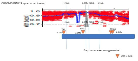 3번 염색체 1.3-3.2Mb 에 존재하는 NB-LRR유전자의 분포도