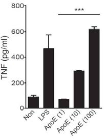 생쥐의 골수세포에 M-CSF (30 ng/ml)를 7일 동안 처리하여 유도된 골수 유래 대식세포에 ApoE를 1, 10, 100 μg/ml로 처리한 후 약 20시간 뒤에 분비되는 TNF의 양을 ELISA로 측정하였음. LPS (Lipopolysaccharides)는 positive control로 사용함