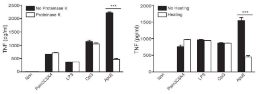 Proteinase K를 37℃에서 1시간 동안 처리하거나 100℃에서 15분간 heating한 Pam3KCSK4, LPS, CpG, ApoE를 RAW264.7 세포에 처리한 후 약 20시간 뒤에 분비되는 TNF의 양을 ELISA로 측정하였음. Pam3CSK4, LPS, CpG는 Proteinase K나 heating에 의해 영향을 받지 않는 control로 사용함