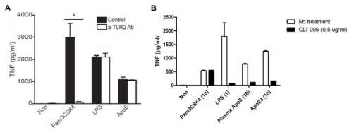 (A) 생쥐의 골수세포에 M-CSF (30 ng/ml)를 7일 동안 처리하여 유도된 골수 유래 대식세포에 a-TLR2 Ab (TLR2 inhibitory antibody)와 함께 ApoE를 처리한 후 약 20시간 뒤에 분비되는 TNF의 양을 ELISA로 측정하였음. Pam3CSK4 (TLR2 ligand)는 a-TLR2 Ab에 의한 TLR2 저해 효과를 확인하기 위한 control로 사용하고 LPS (TLR4 ligand)는 a-TLR2 Ab에 의해 영향을 받지 않는 control로 사용함. (B) 사람의 말초혈액 단핵세포(peripheral blood mononuclear cells)에 M-CSF (30 ng/ml)를 7일 동안 처리하여 유도된 단핵구 유래 대식세포에 CLI-095 (TLR4 small molecule inhibitor)와 함께 ApoE를 처리한 후 약 20시간 뒤에 분비되는 TNF의 양을 ELISA로 측정하였음. LPS (TLR4 ligand)는 CLI-095에 의한 TLR4 저해 효과를 확인하기 위한 control로 사용하고 Pam3CSK4 (TLR2 ligand)는 CLI-095에 의해 영향을 받지 않는 control로 사용함