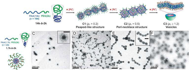 블록-공중합체의 블록 비율 조절 및 백금-항암제의 용량에 따른 나노구조체의 형태학적 제형 조절에 관한 모식도 및 투과 전자현미경 (TEM) 사진