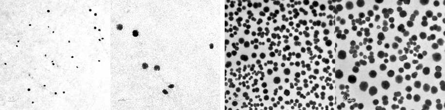 유로피움(III)이 배위된 고분자 나노입자와 (left) 유로피움(III)-산화비소의 난용확 착화합물 형성을 통하여 산화비소가 추가 장착된 고분자 나노입자의 투과 전자현미경 (TEM) 사진 (right)
