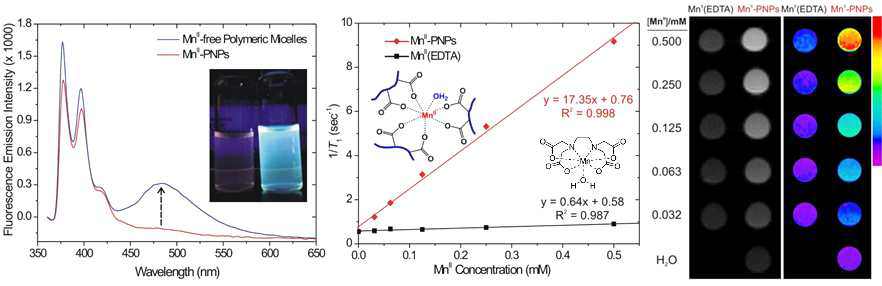 Pyrene으로 말단-작용기가 변형된 수용성 고분자로 구성된 나노구조체에서 관찰된 가시광선 영역에서의 Eximer 형광 스펙트럼 (left), 상자기성 망간(II) 이온이 킬레이트-배위된 나노구조체(MnII-PNPs)의 향상된 T1 자기이완 효과 (center). 높은 자기이완률(r1 = 17.35 mM-1s-1)을 보여 단분자형 킬레이트 화합물인 MnII(EDTA) (r1 = 0.64 mM-1s-1) 보다 우수한 T1 자기이완 효과를 보임. 200 MHz, 25℃에서 관찰된 MnII 이온 농도별 MRI 팬텀 이미지 (right). 동일한 농도의 단분자형 MnII(EDTA) (left column)보다 나노구조체(MnII-PNPs, right column)에서 더욱 우수한 조영효과가 관찰됨