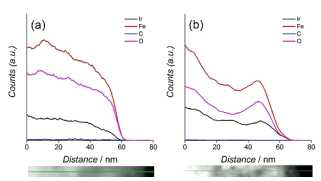 IFG-NT와 IFG-AHT의 촉매입자의 위치에 따른 각 원소별 농도분포
