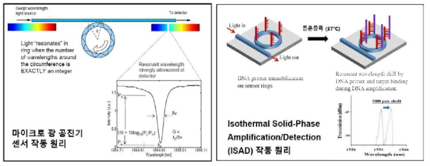 광집적 무표지 바이오 센싱 원리 및 유전자 분석을 위한 등온 방식 유전자 증폭 바이오센서 작동 원리 (비표지 및 실시간 측정 기술)