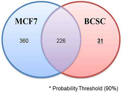 유방암 세포(MCF-7)과 유방암 유래 줄기세포 (BCSC)의 단백질 분석 결과 (다이어그램)