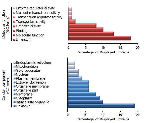 BCSC에서만 발현한 단백질 (31개)을 GO (gene ontology) 분석 중 분자 기능(위) 및 세포 구성(아래)으로 분류한 그래프
