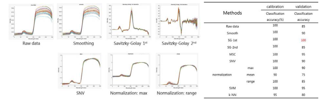 전처리 방식에 따른 초분광 스펙트럼 이미지와 분류 결과