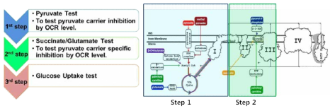 High throughput virtual screening 의 모식도